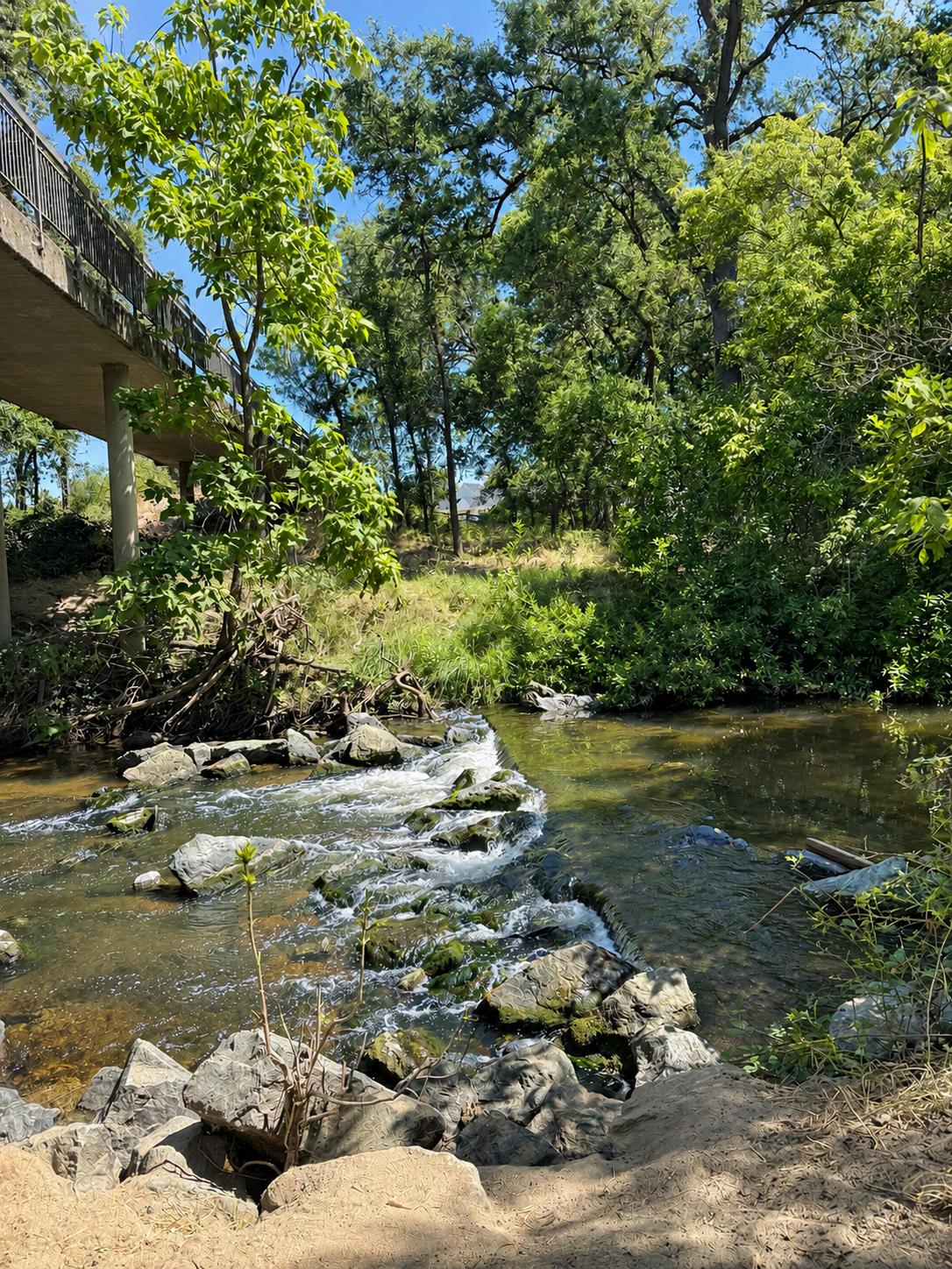 3462 Lanie Court