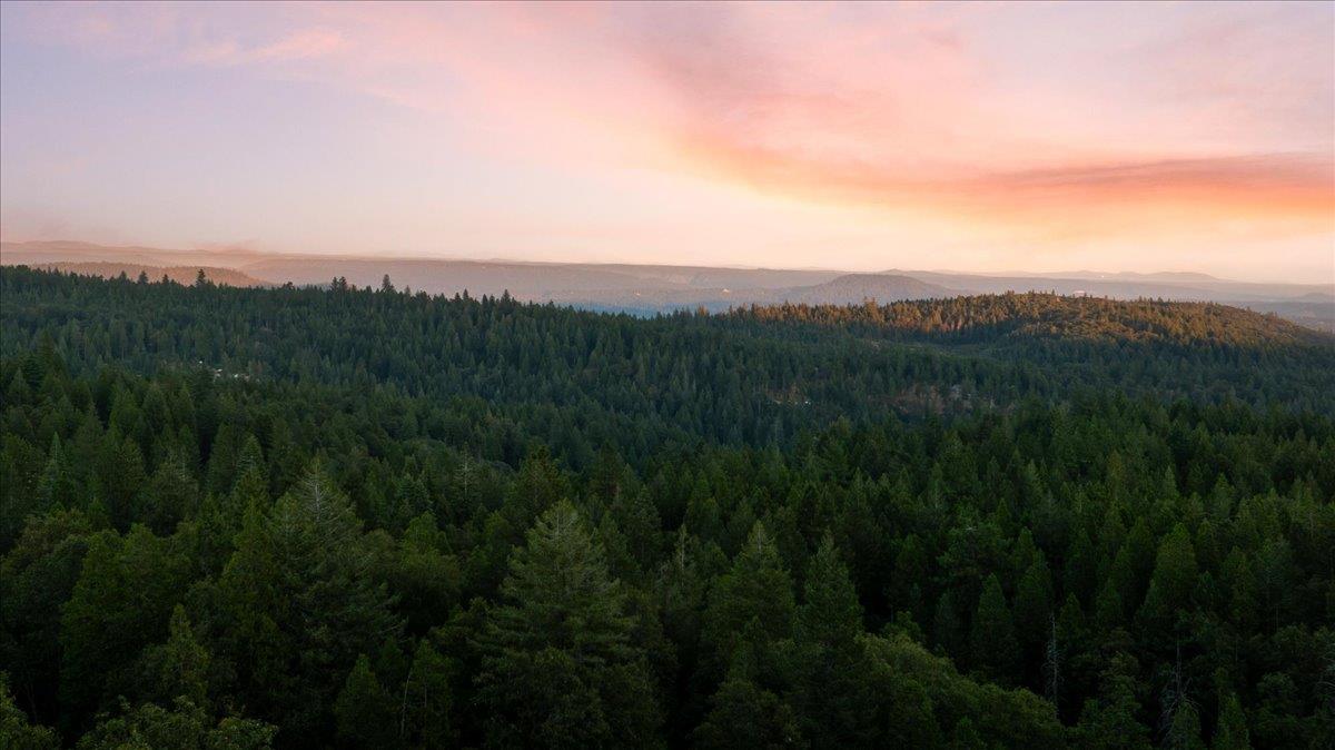 14585 Banner Lava Cap Rd, Nevada City, CA, 95959, USA, 4 Bedrooms Bedrooms, ,5 BathroomsBathrooms,Residential,Active,14585 Banner Lava Cap Rd,226097483