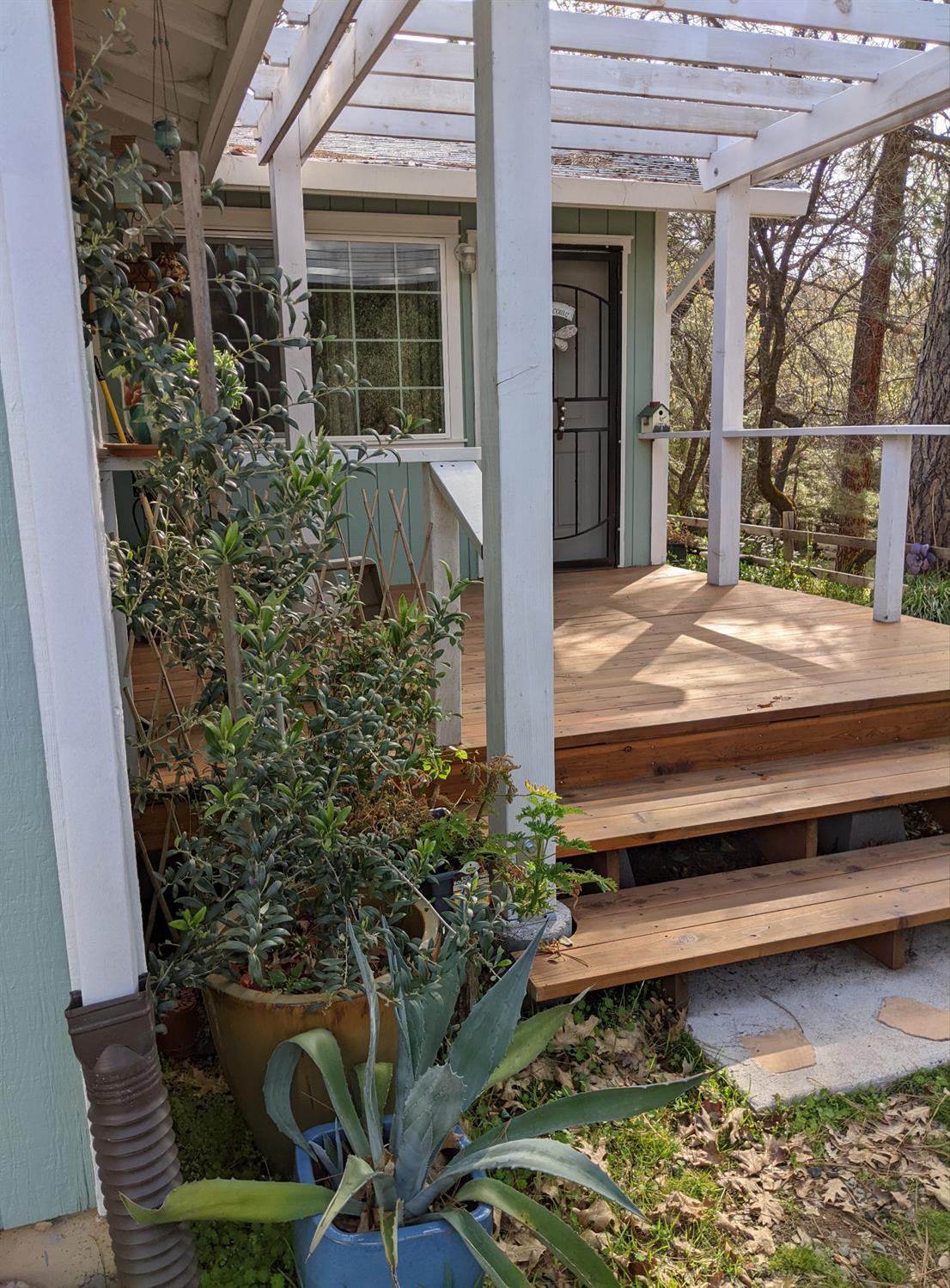 10180 Rock Creek Road