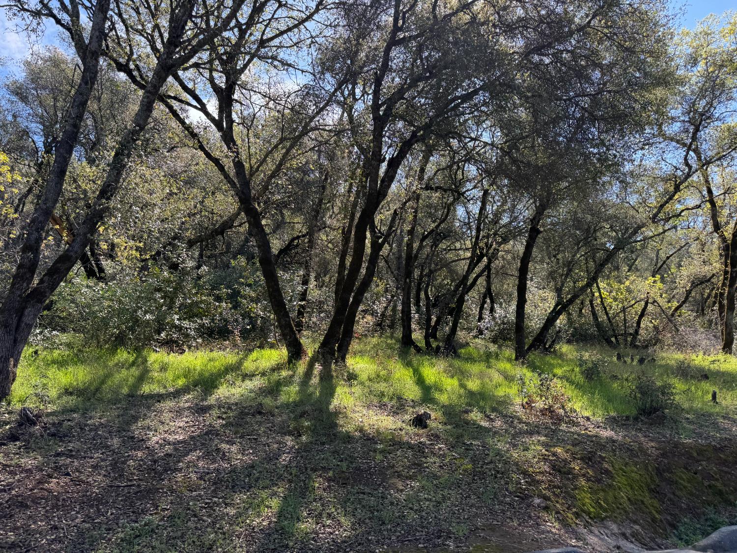 1001 Old Airport Road