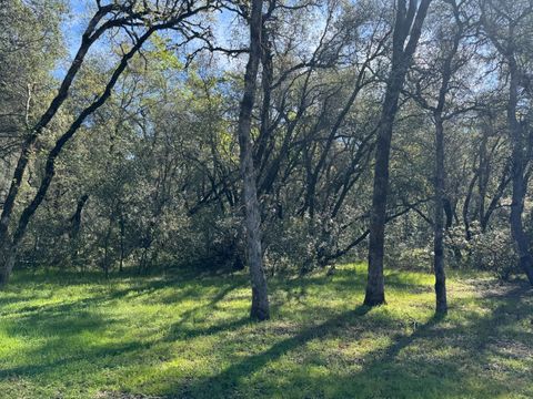 1001 Old Airport Road Auburn CA 95603