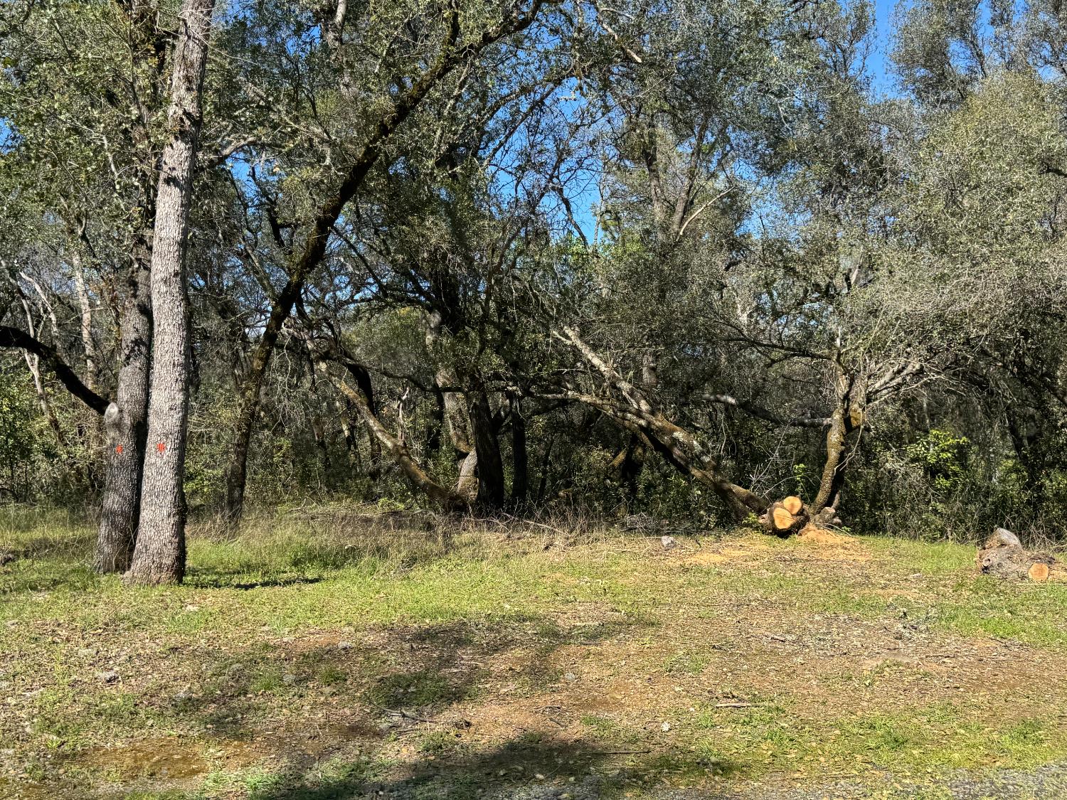 1001 Old Airport Road