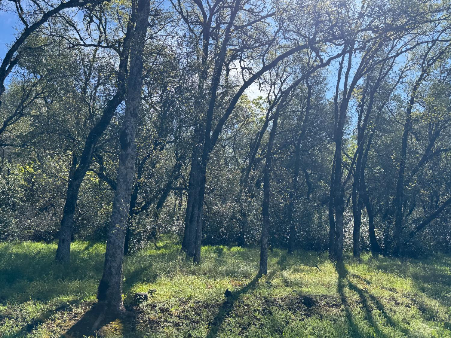 1001 Old Airport Road