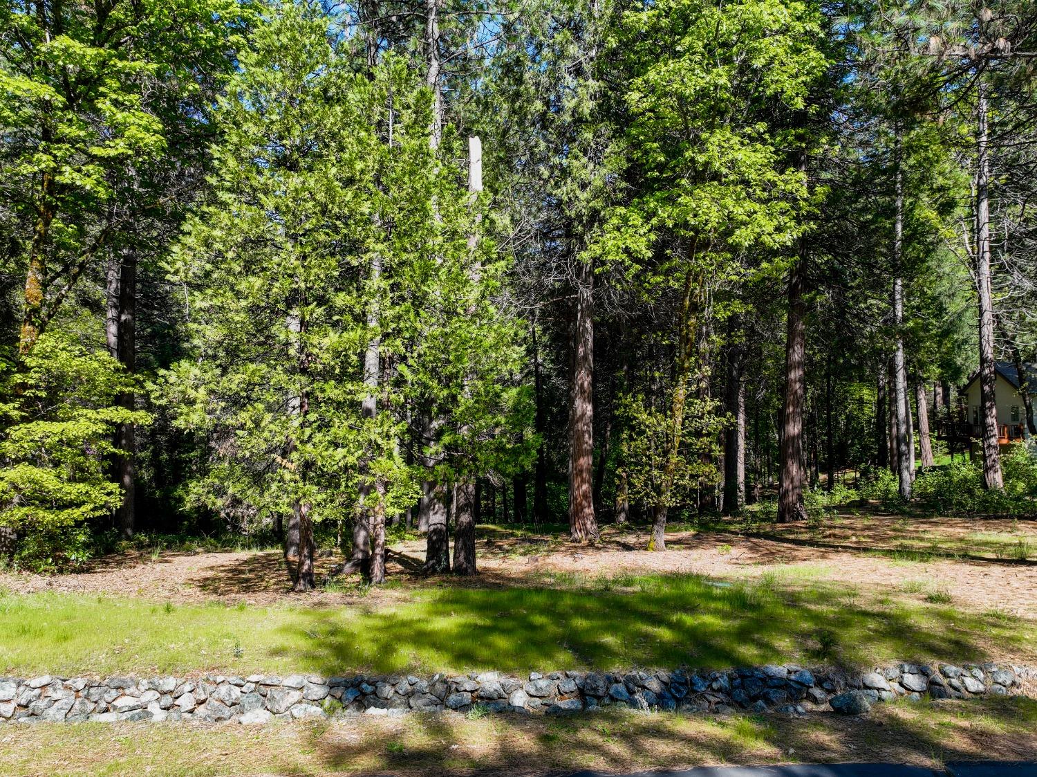 13136 Woodstock Drive