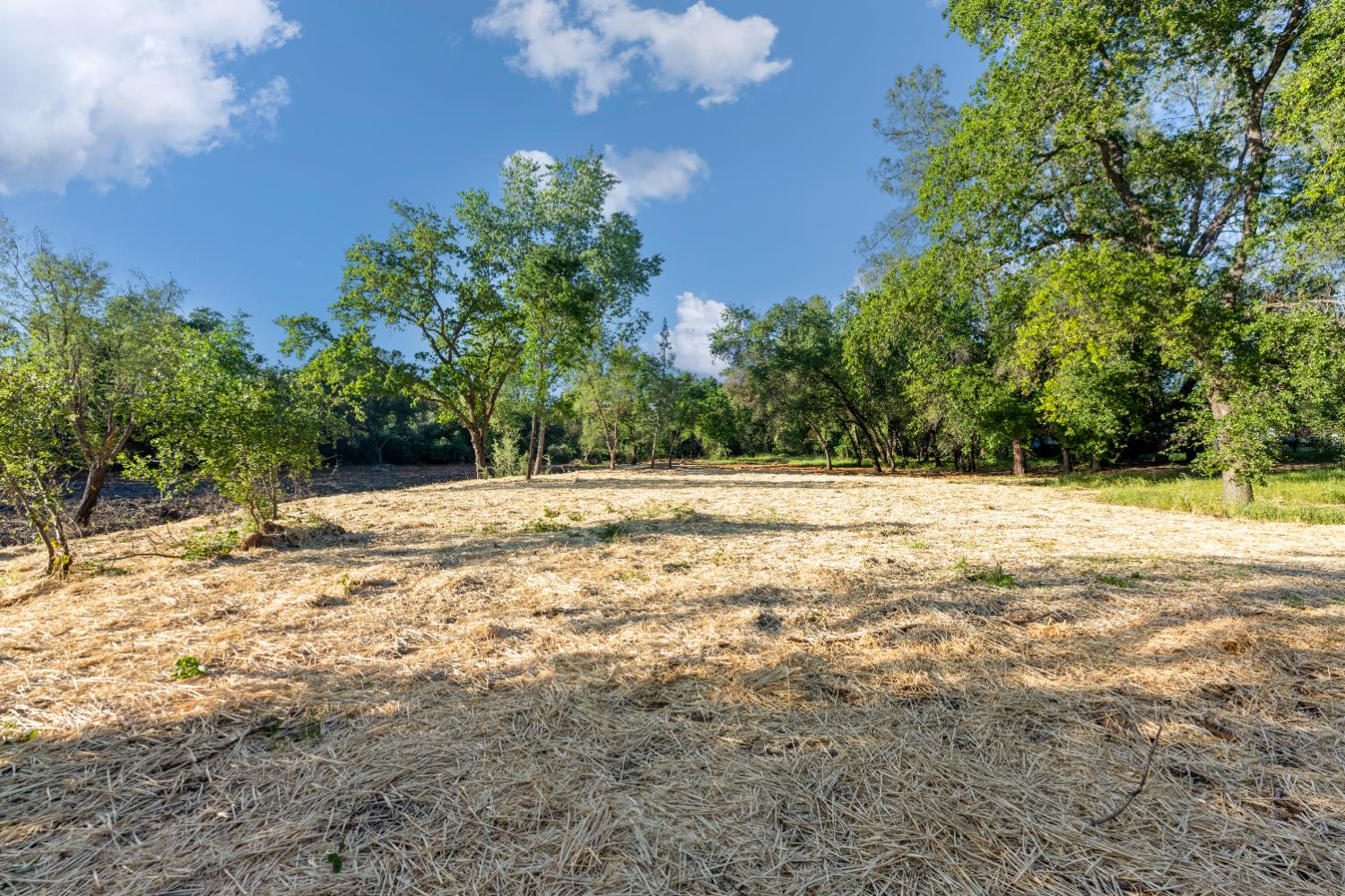 6065 Indian Springs Road