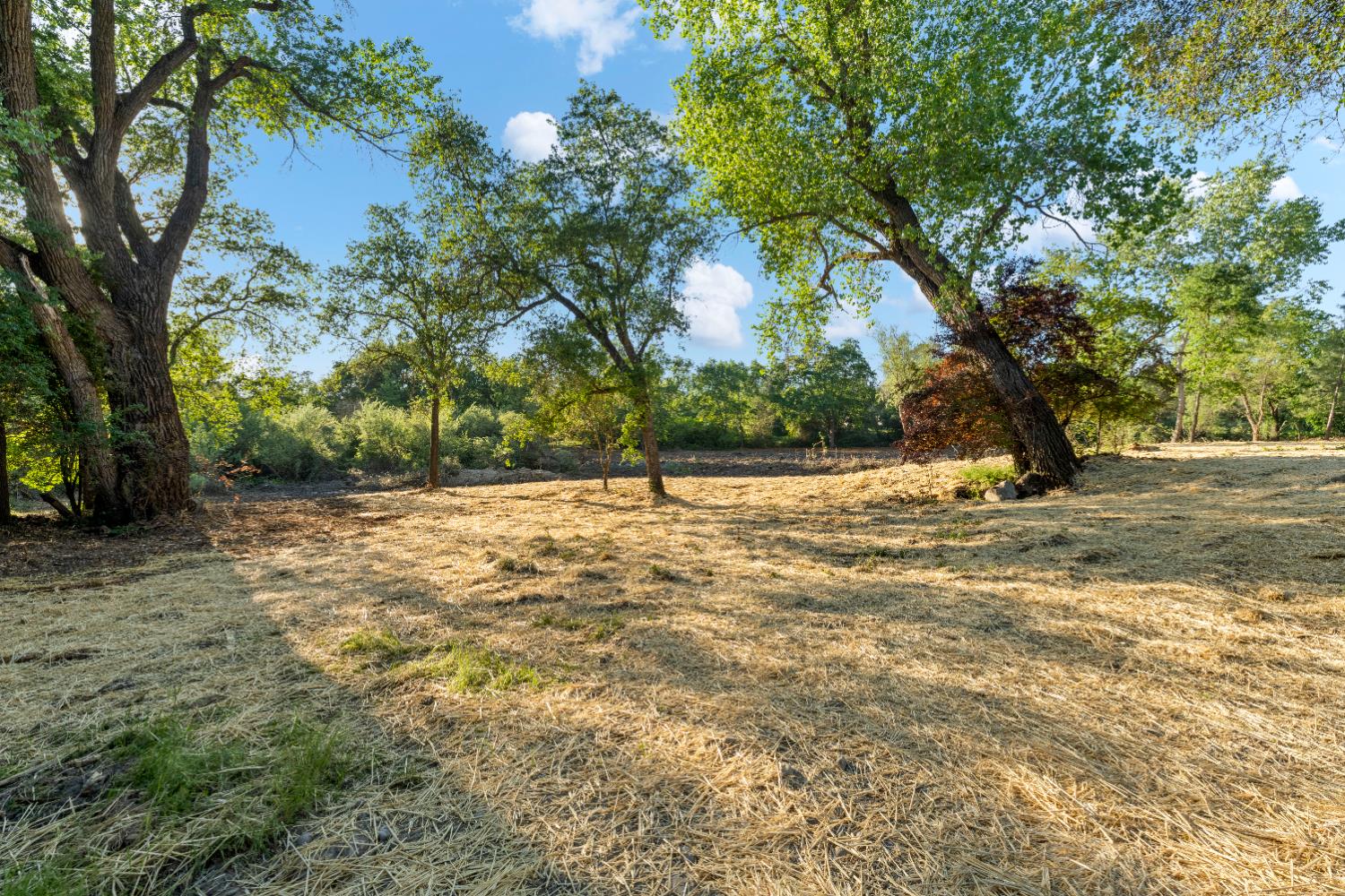 6065 Indian Springs Road