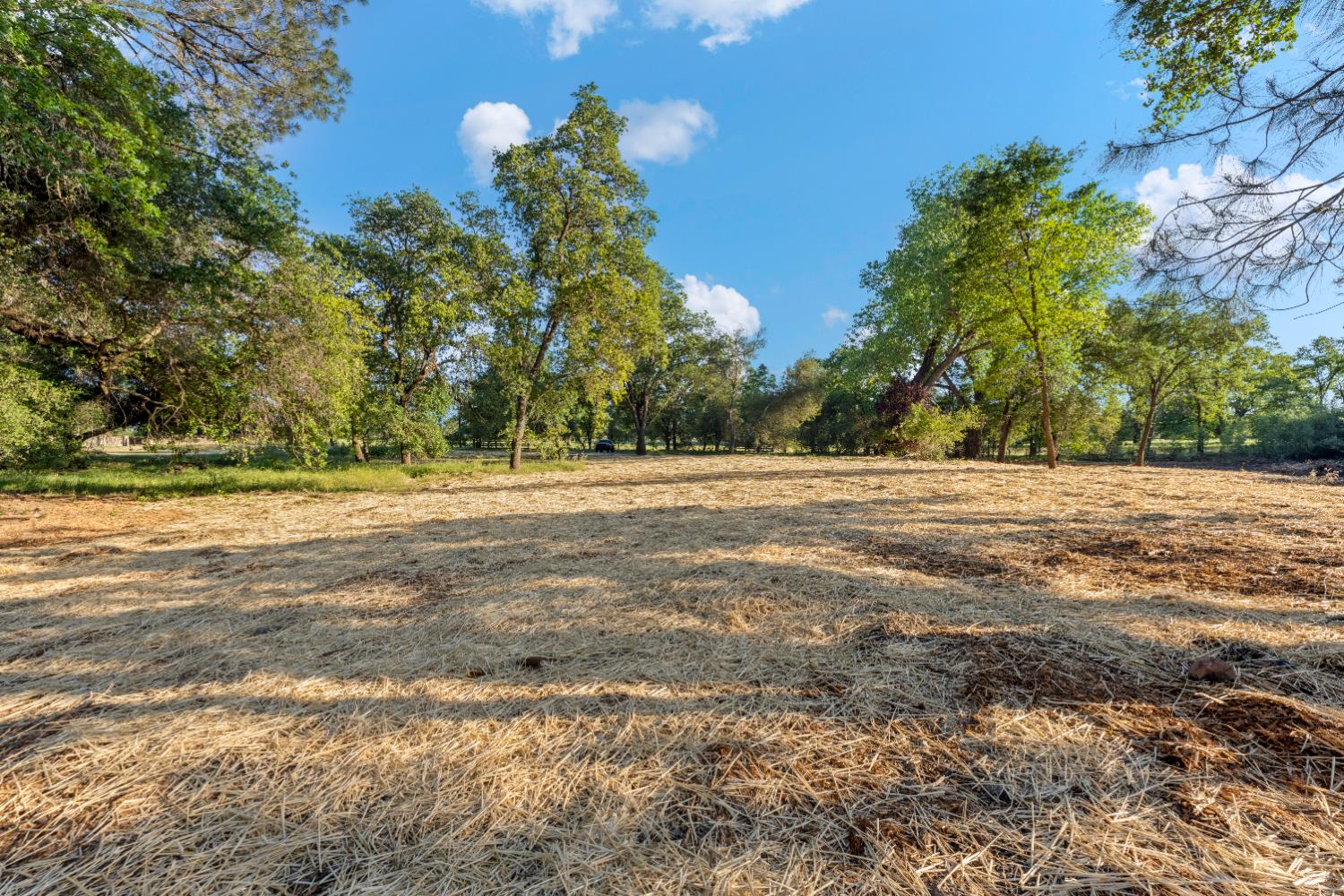 6065 Indian Springs Road