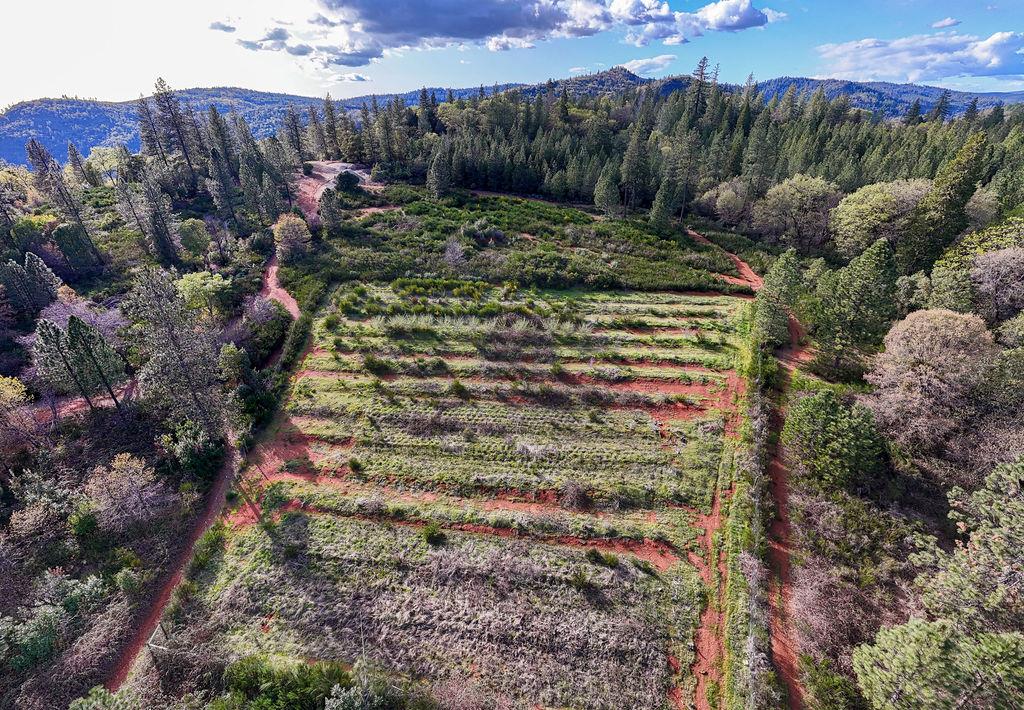 10571 Sebastopol Road