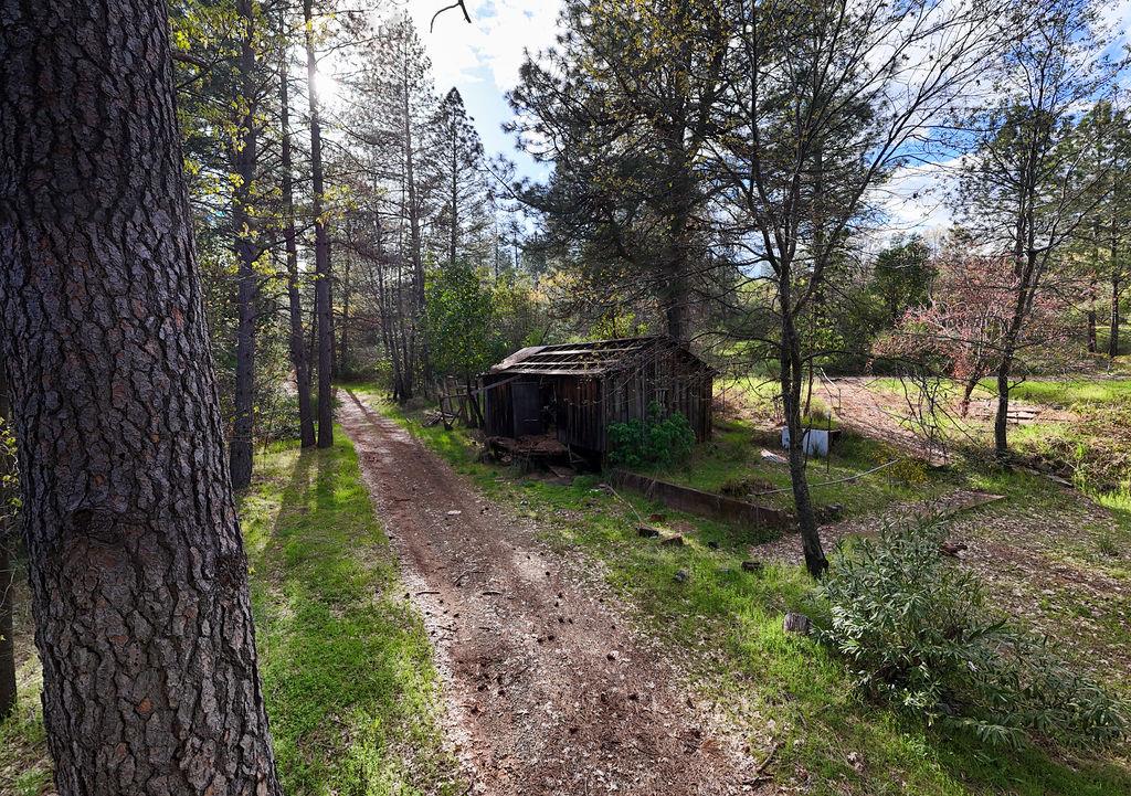 10571 Sebastopol Road