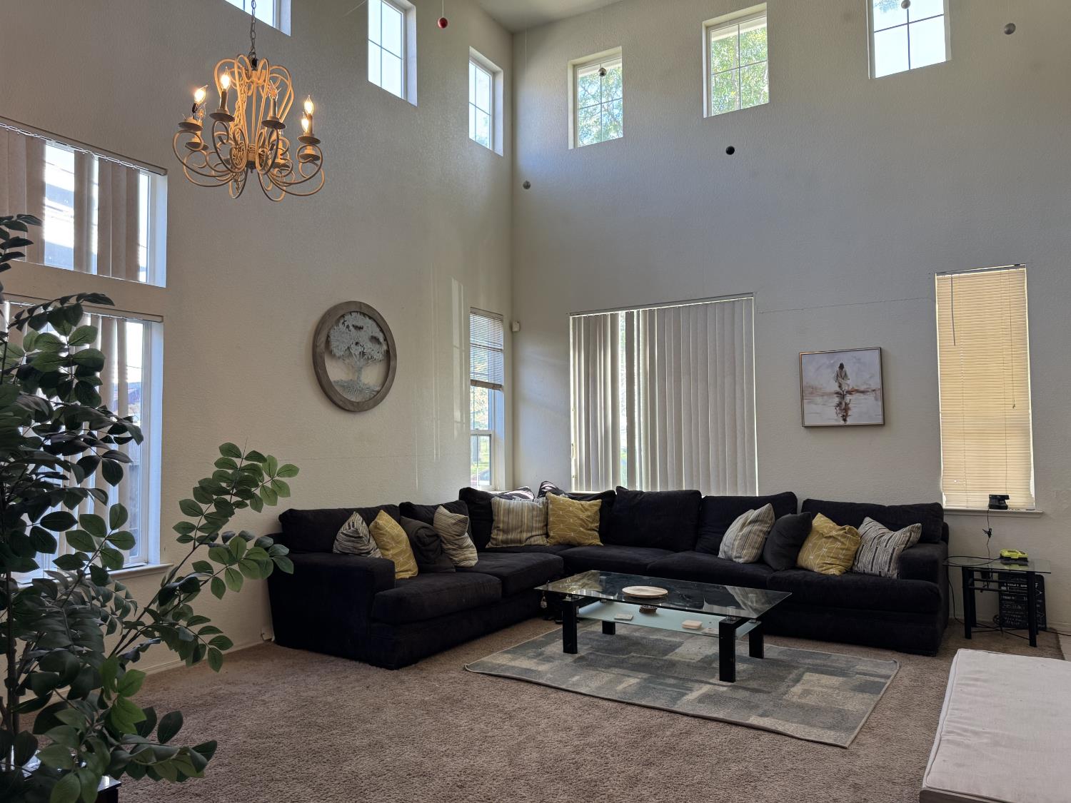 8859 Shasta Lily Drive