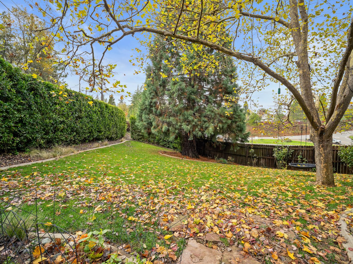 843 Oak Terrace Road