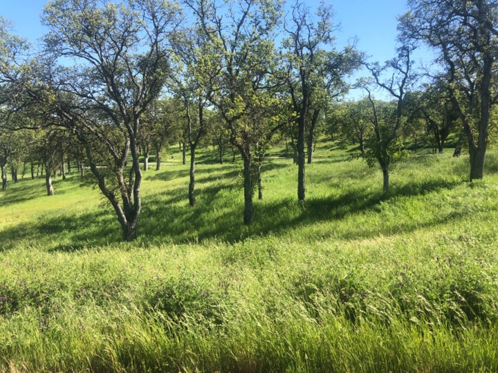 Photo 1 of 5 — 367 Knolls Drive, Copperopolis, CA 95228