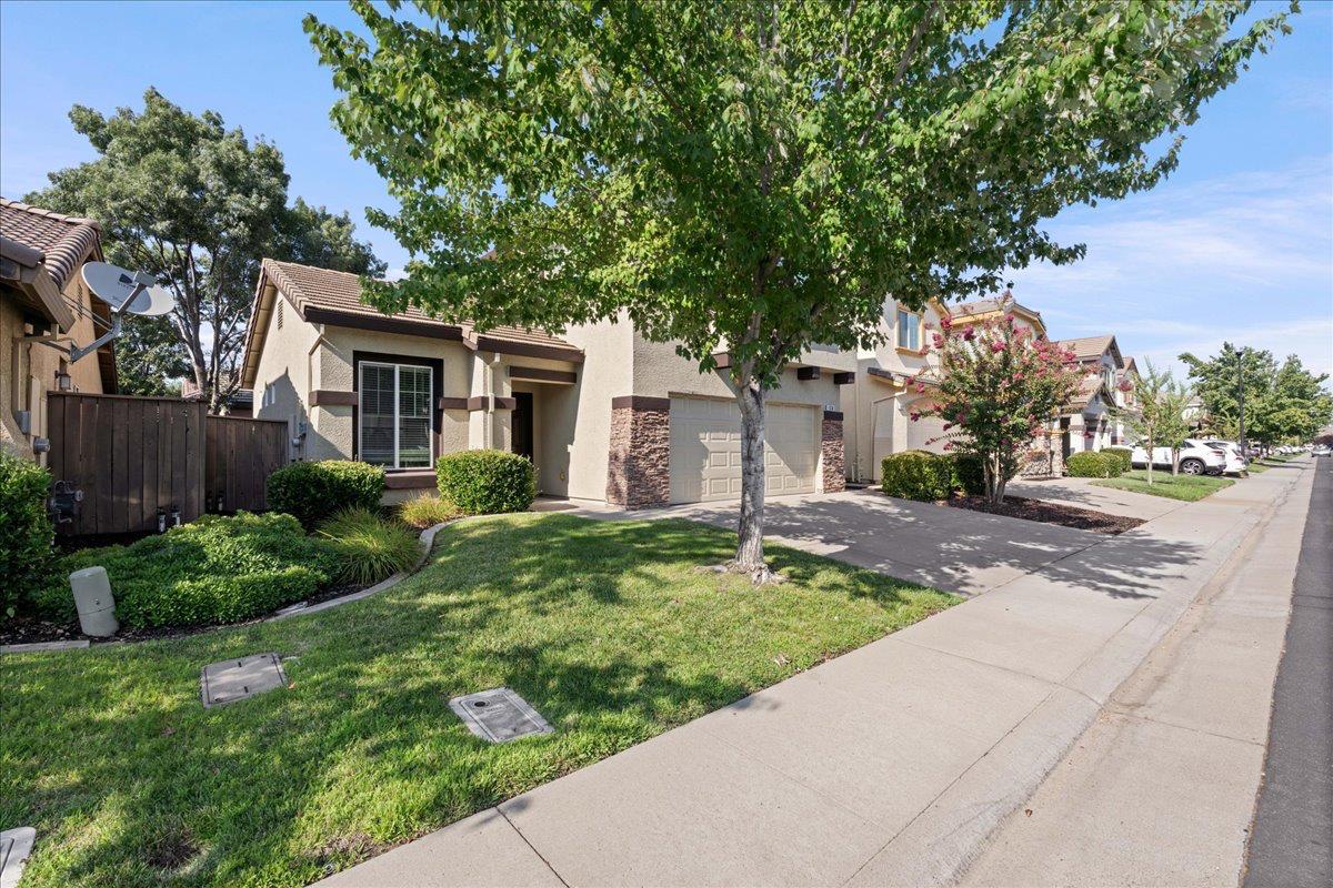 1634 Grey Bunny Drive
