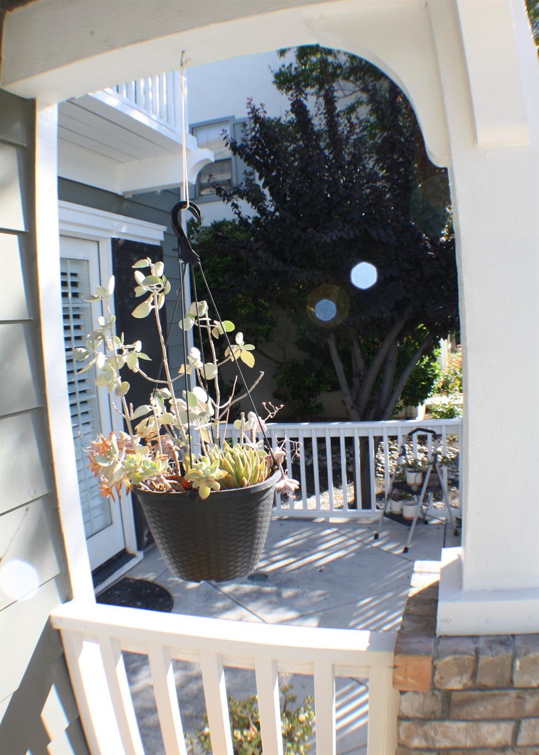 2736 Daisy Lane
