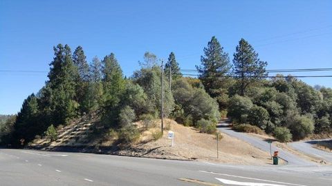 0 Trillium Lane Greenwood CA 95635