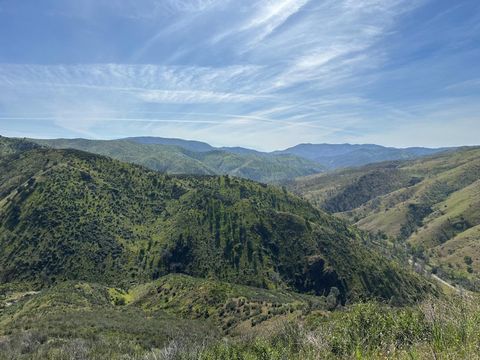MLS: 225028802