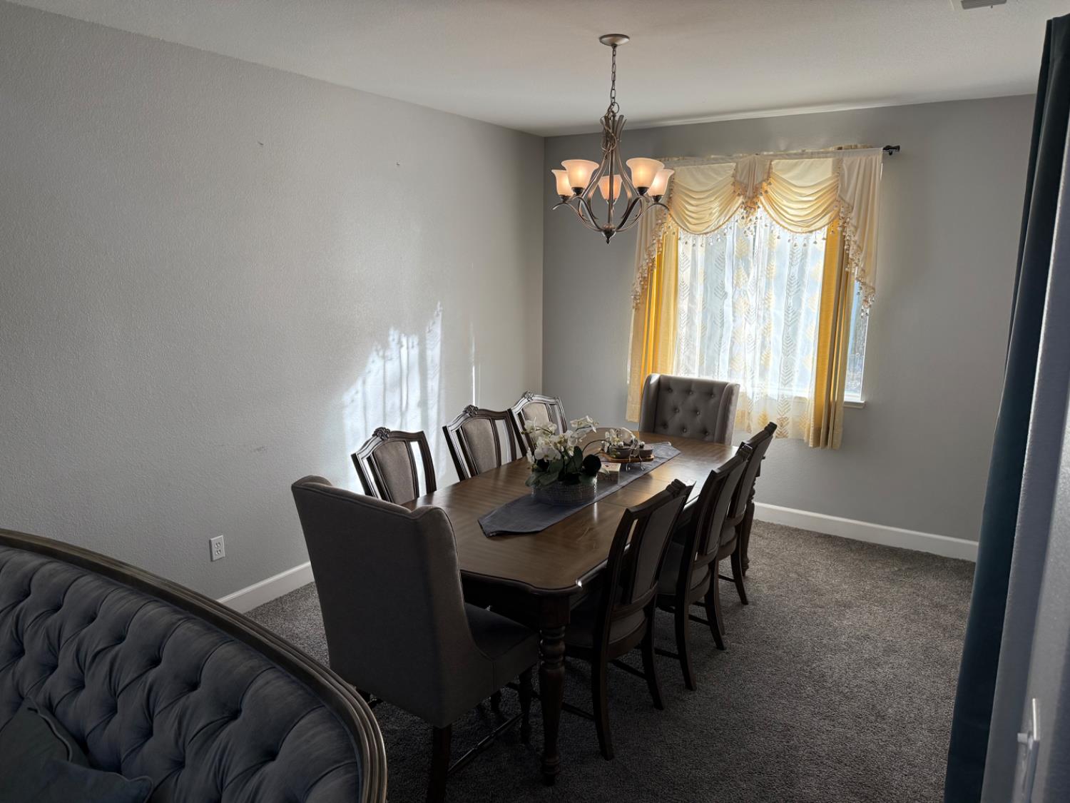 2616 Swainsons Hawk Street