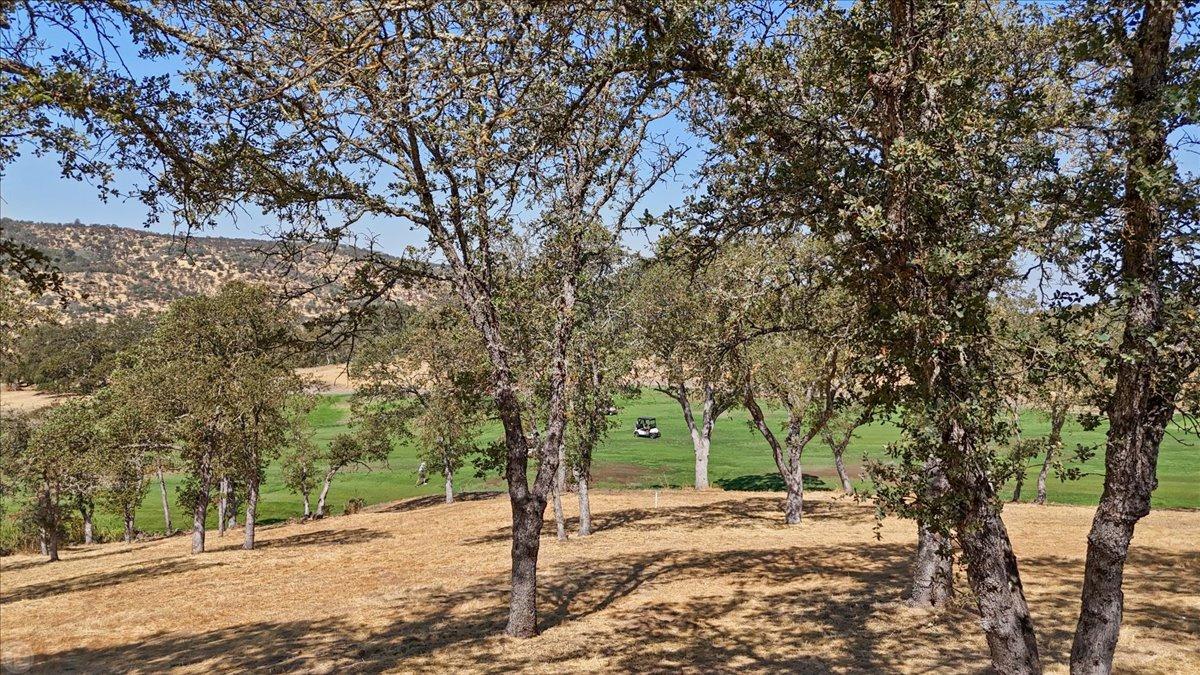 20 Mosswood Ct, Copperopolis, CA, 95228, USA, 3 Bedrooms Bedrooms, ,5 BathroomsBathrooms,Residential,Active,20 Mosswood Ct,225147171