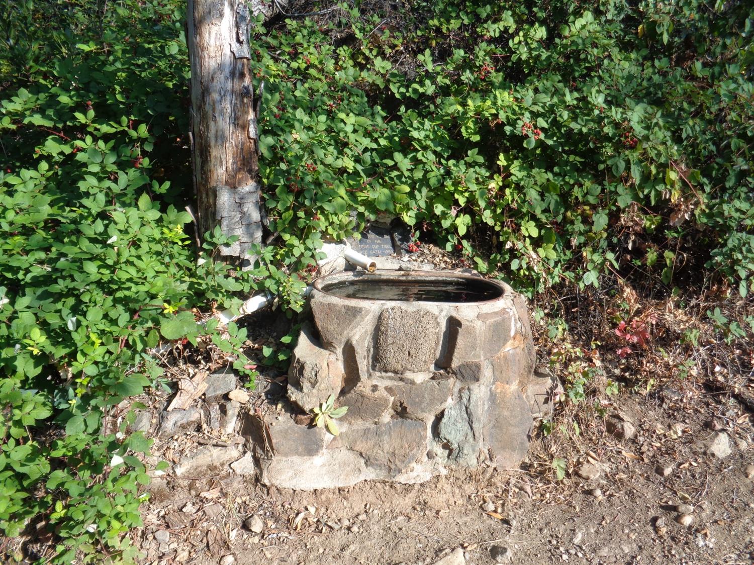 26270 Foresthill Road