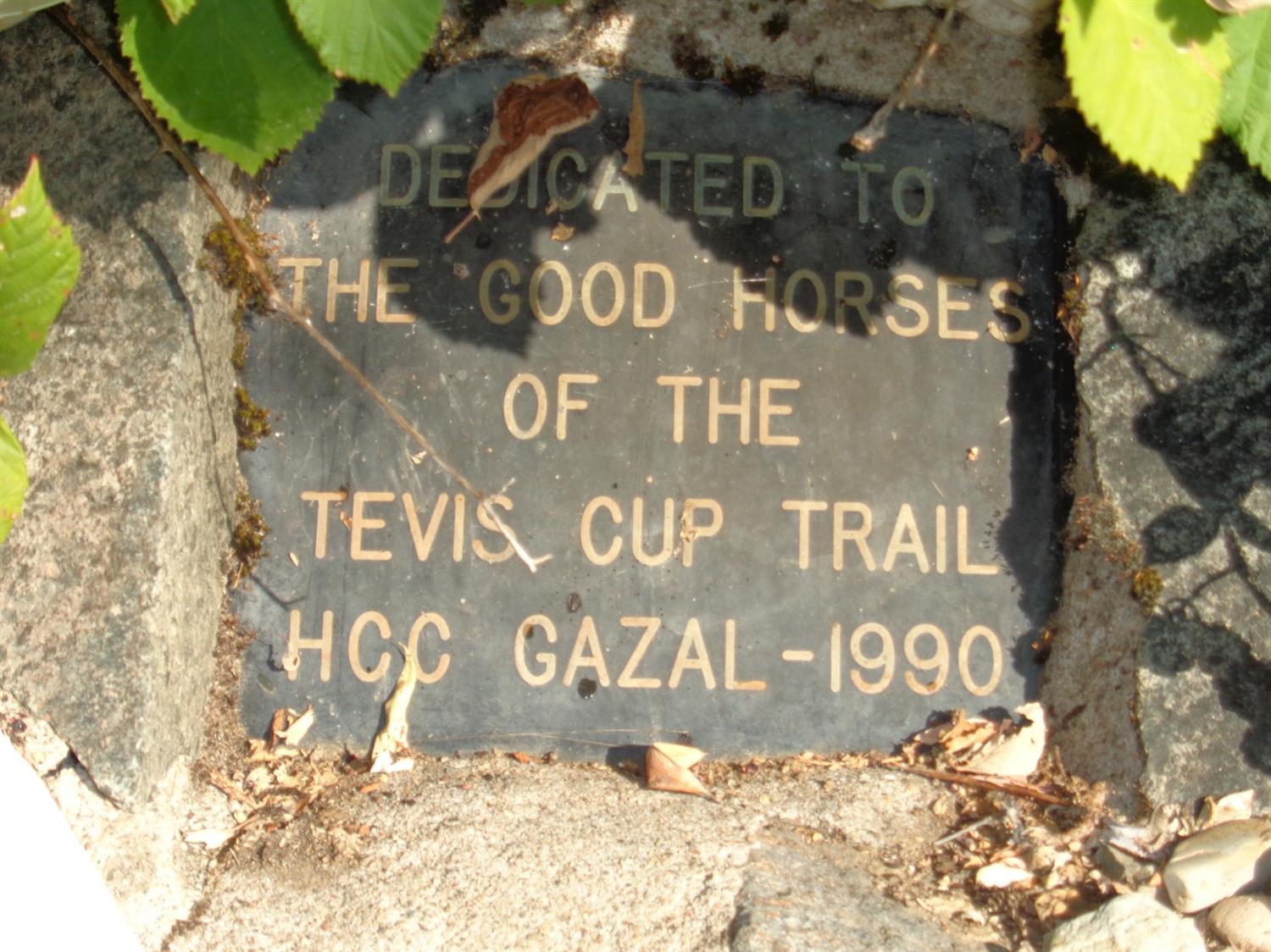 26270 Foresthill Road