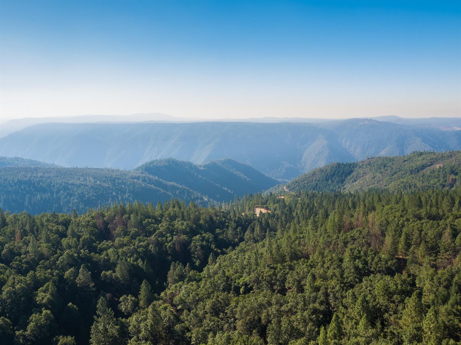 26270 Foresthill Road