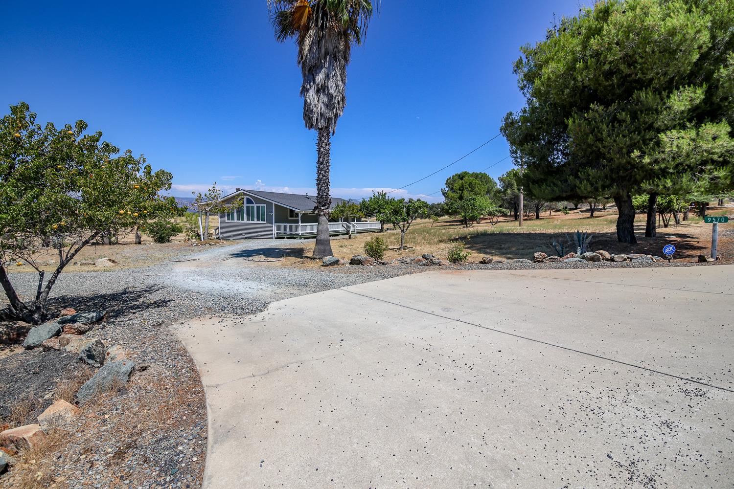 9570 Banderilla Drive