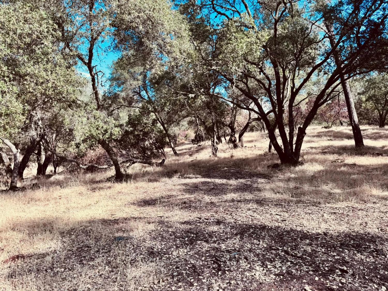 4980 Mourning Dove Lane