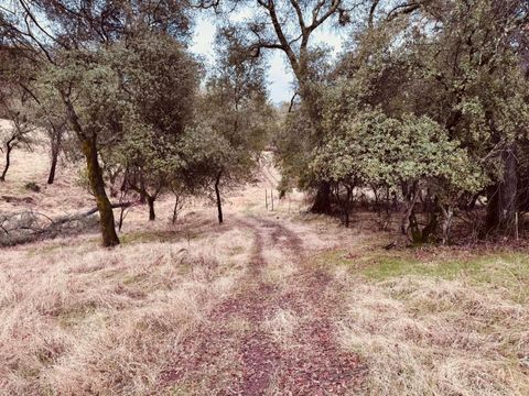 4980 Mourning Dove Lane Shingle Springs CA 95682