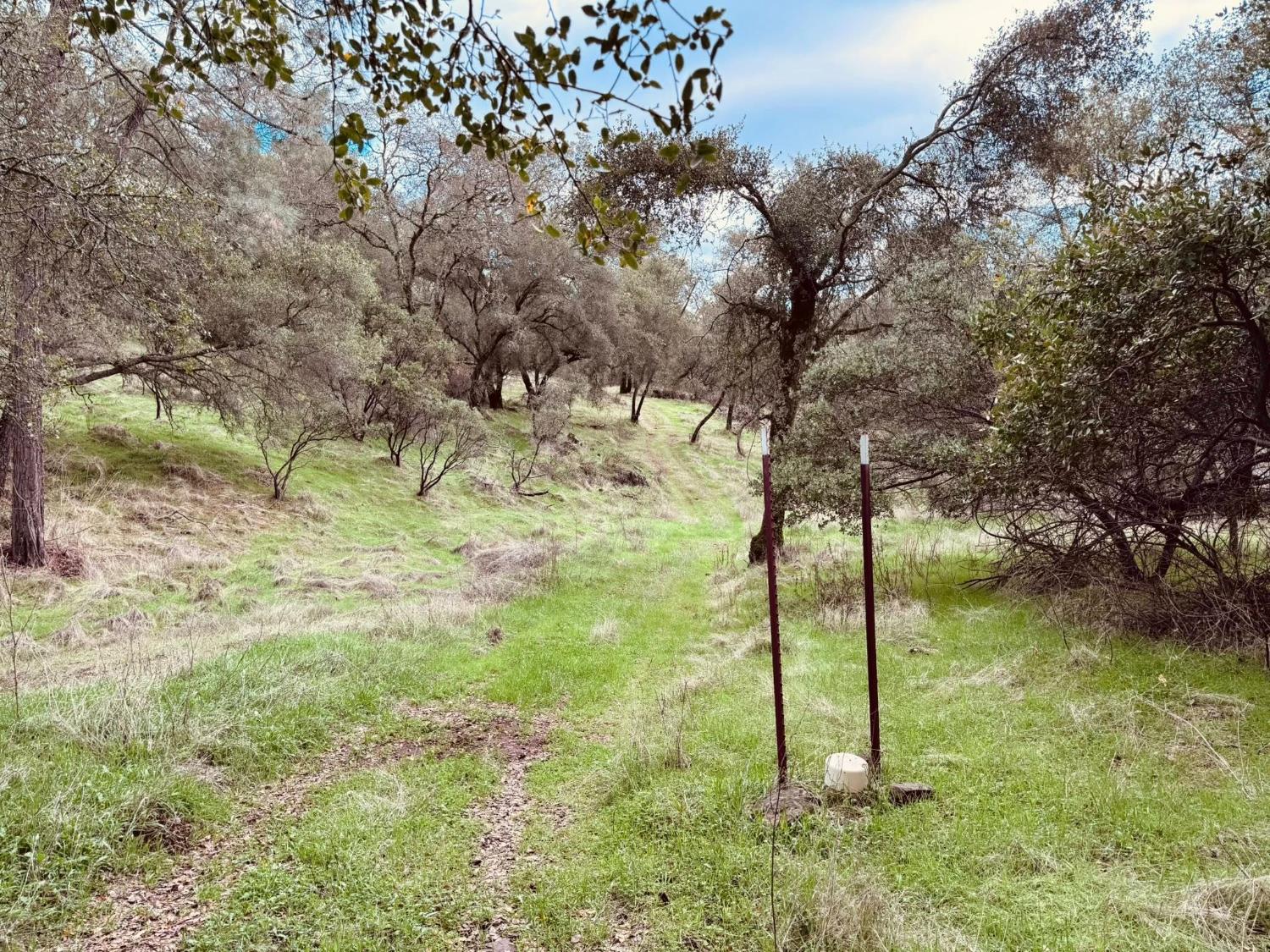 4980 Mourning Dove Lane