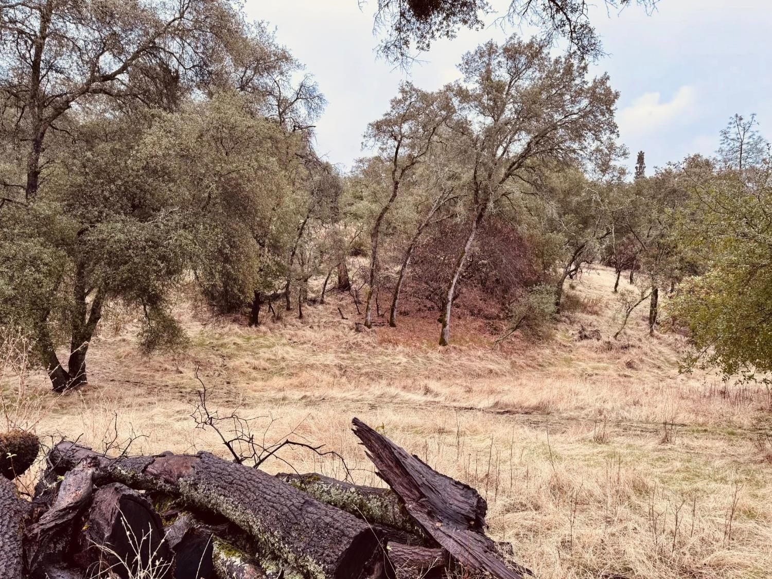 4980 Mourning Dove Lane