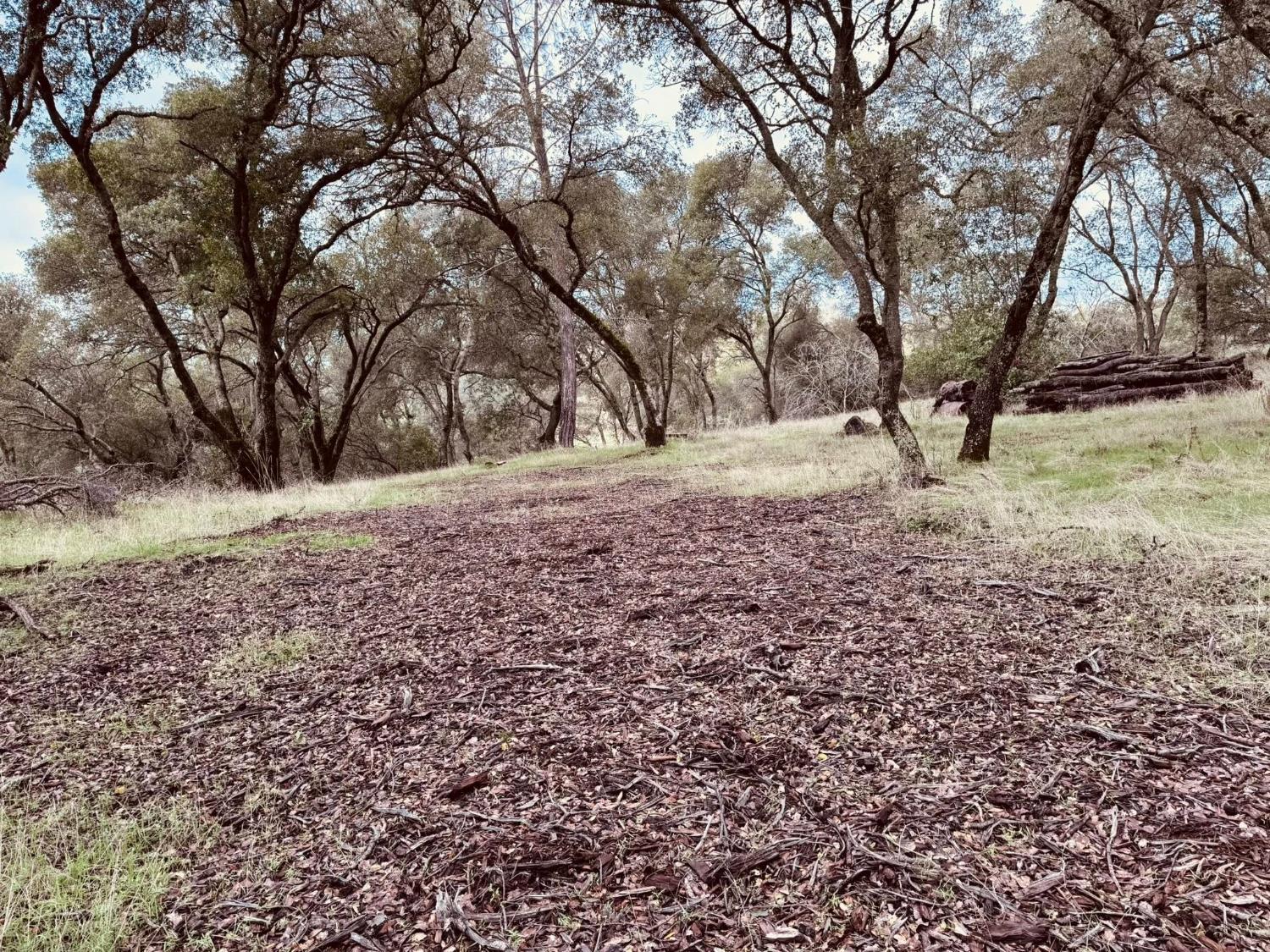 4980 Mourning Dove Lane