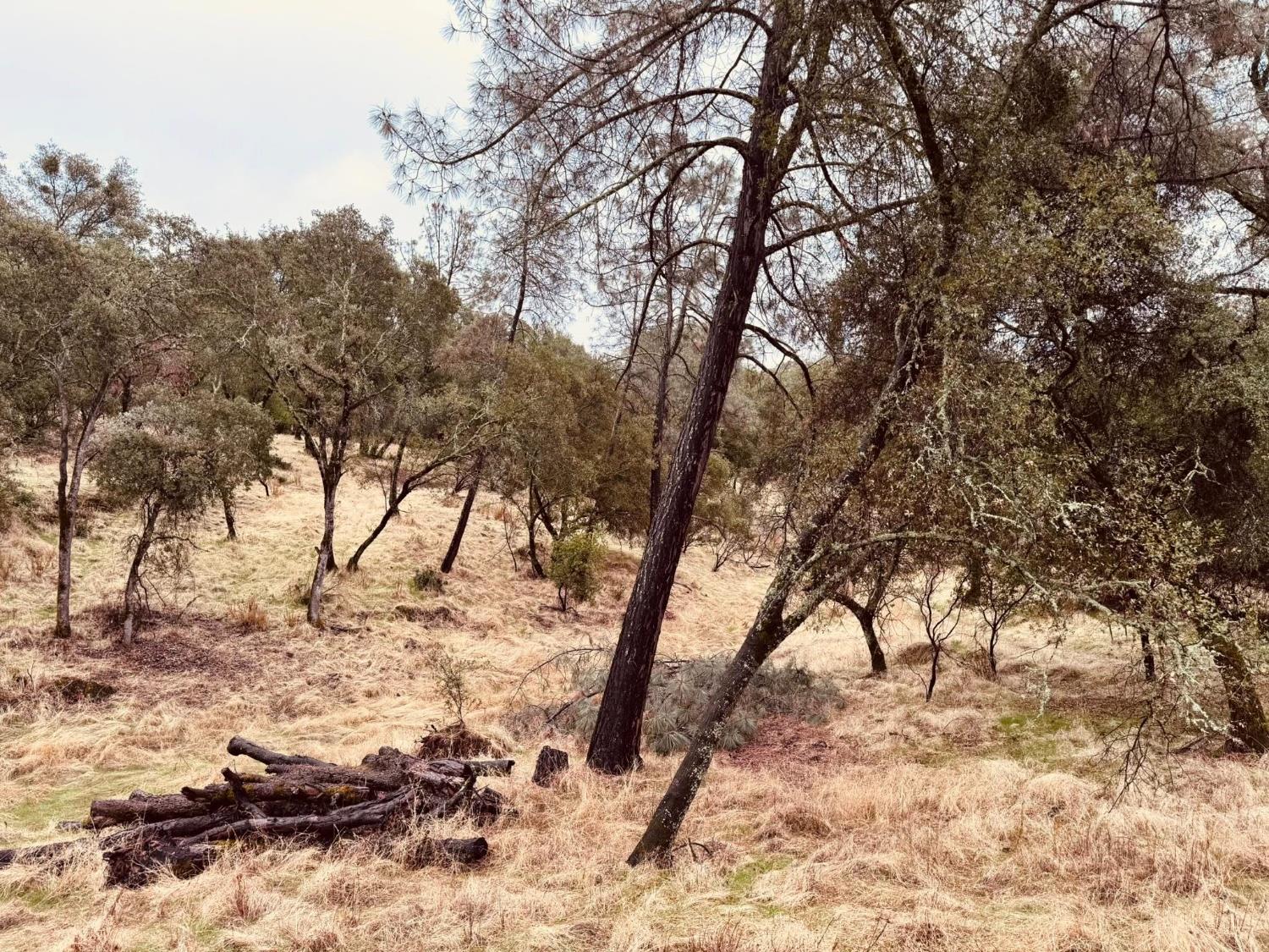 4980 Mourning Dove Lane