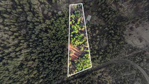 MLS: 225016809