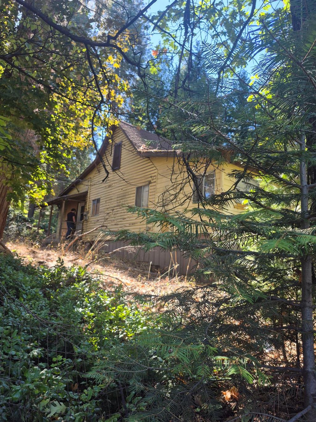 Photo of 6367 Pollock Avenue, Pollock Pines, CA 95726 (MLS # 225132754)