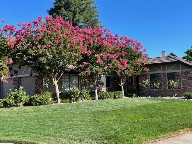 1200 Teak Court