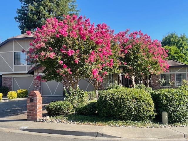 1200 Teak Court