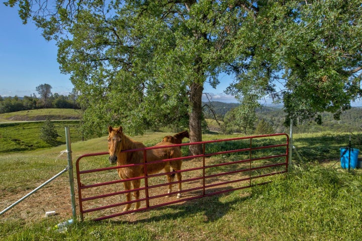 Photo 1 of 54 — 0 TREMBATH MTN RD, Sutter Creek, CA 95685
