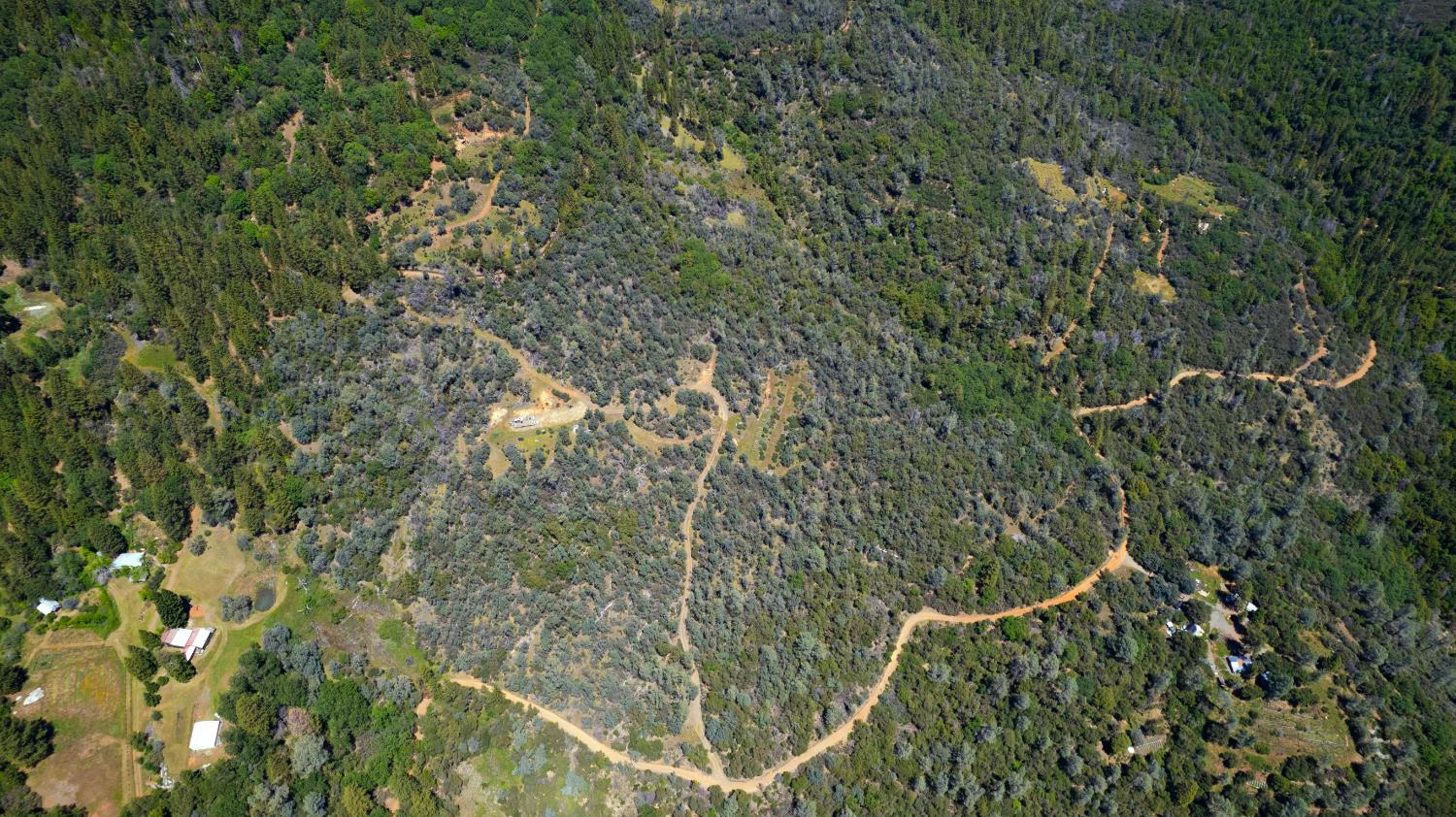 0 Ponderosa