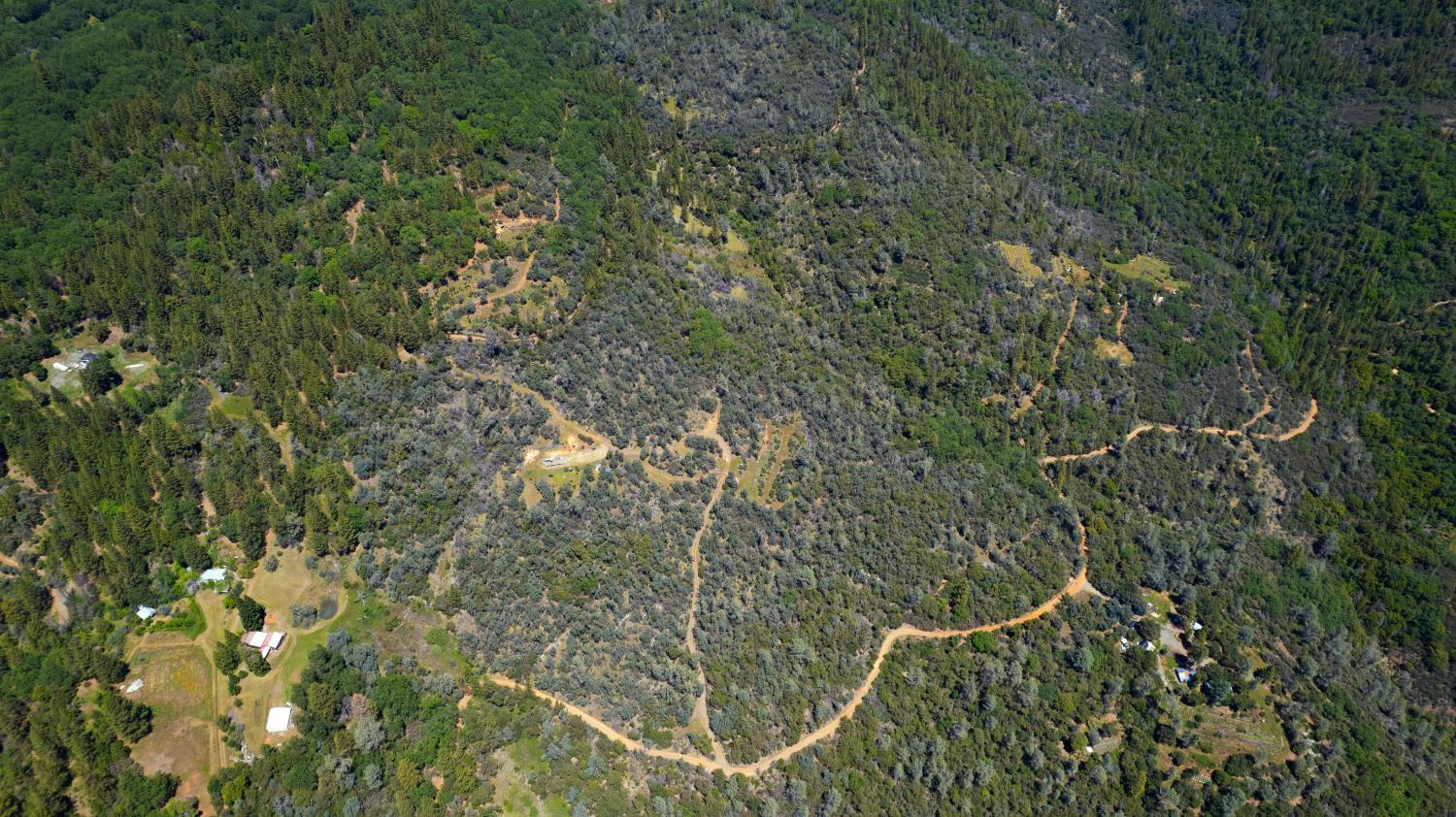 0 Ponderosa