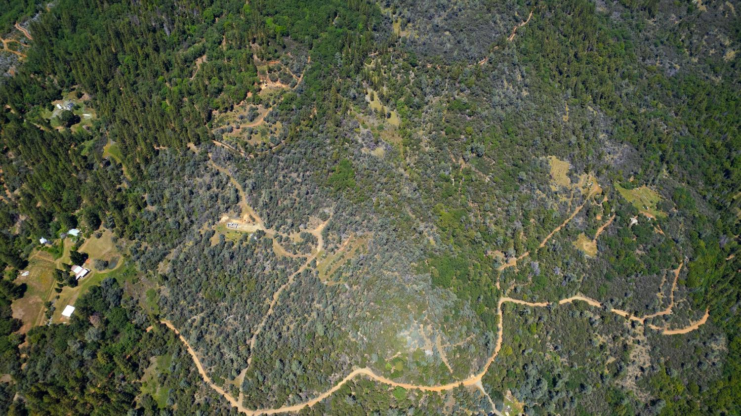 0 Ponderosa