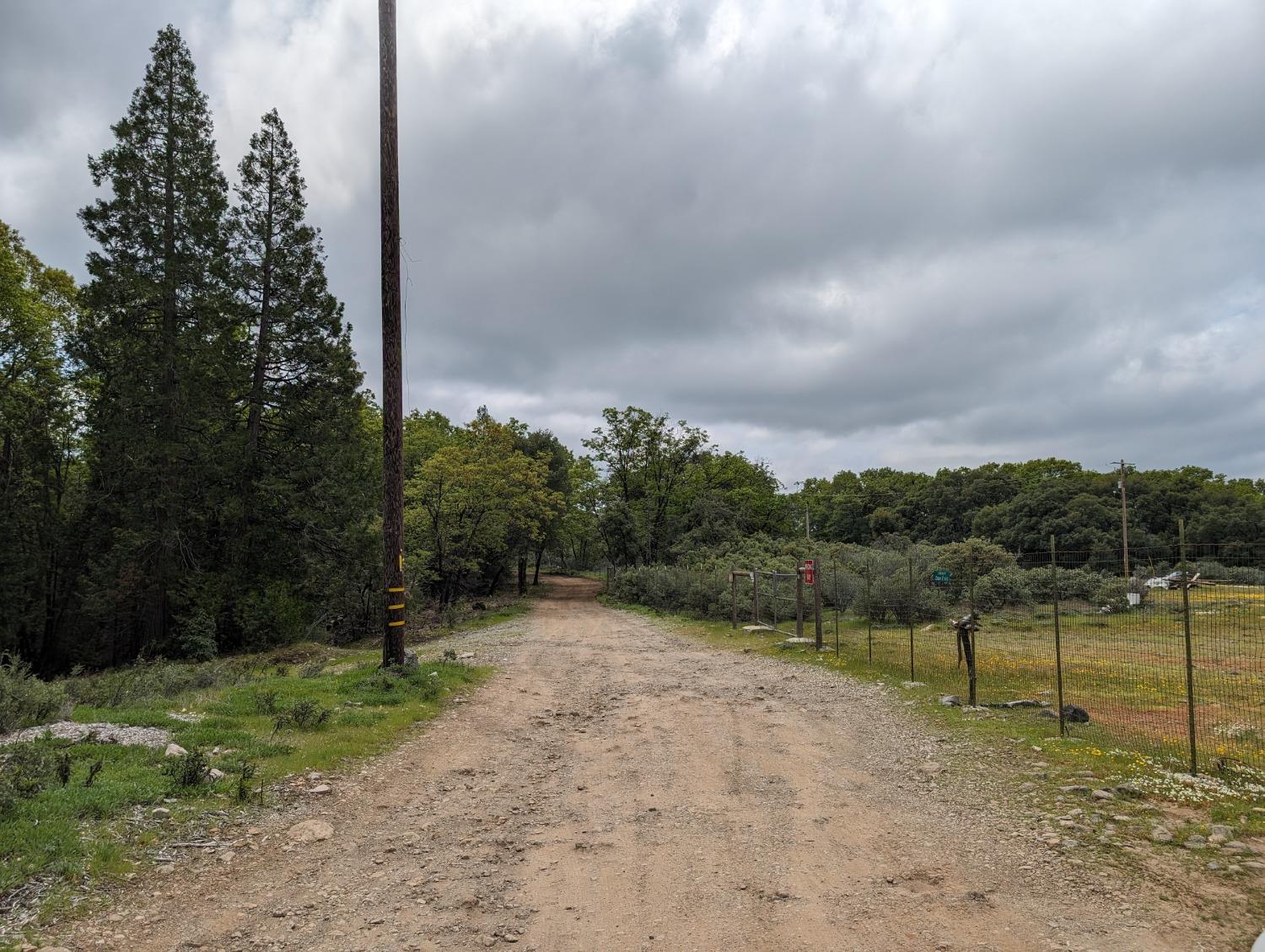 16805 Jones Ridge Road