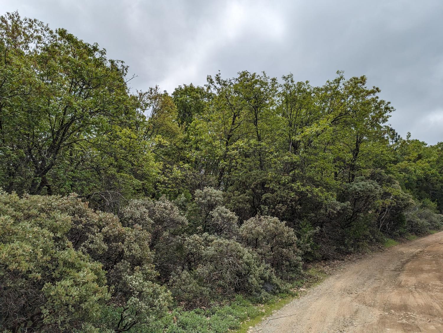 16805 Jones Ridge Road