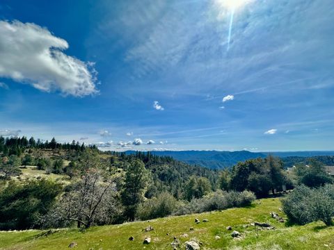 1146 Buckthorn Drive Murphys CA 95247