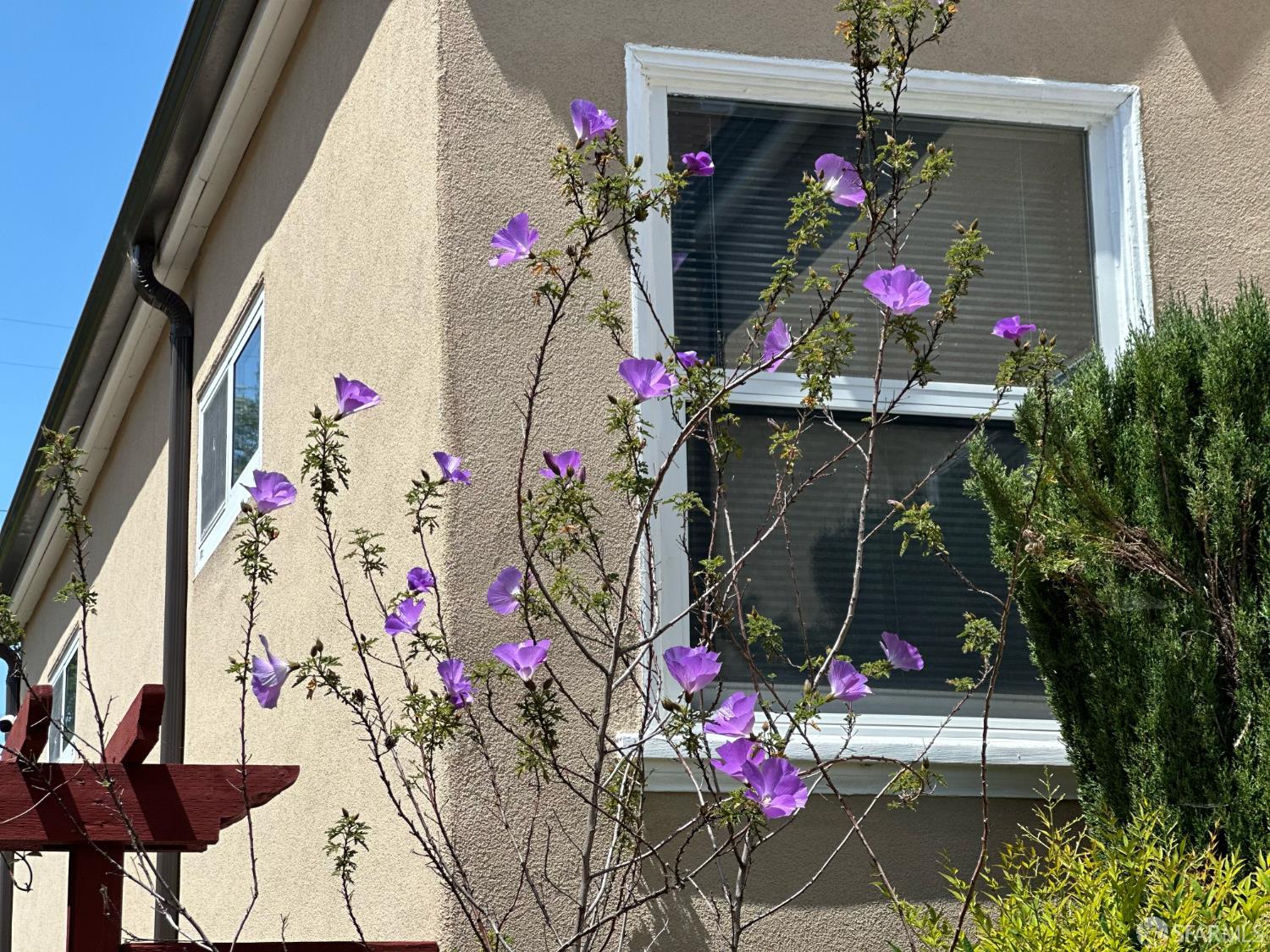 254 La Cruz Avenue