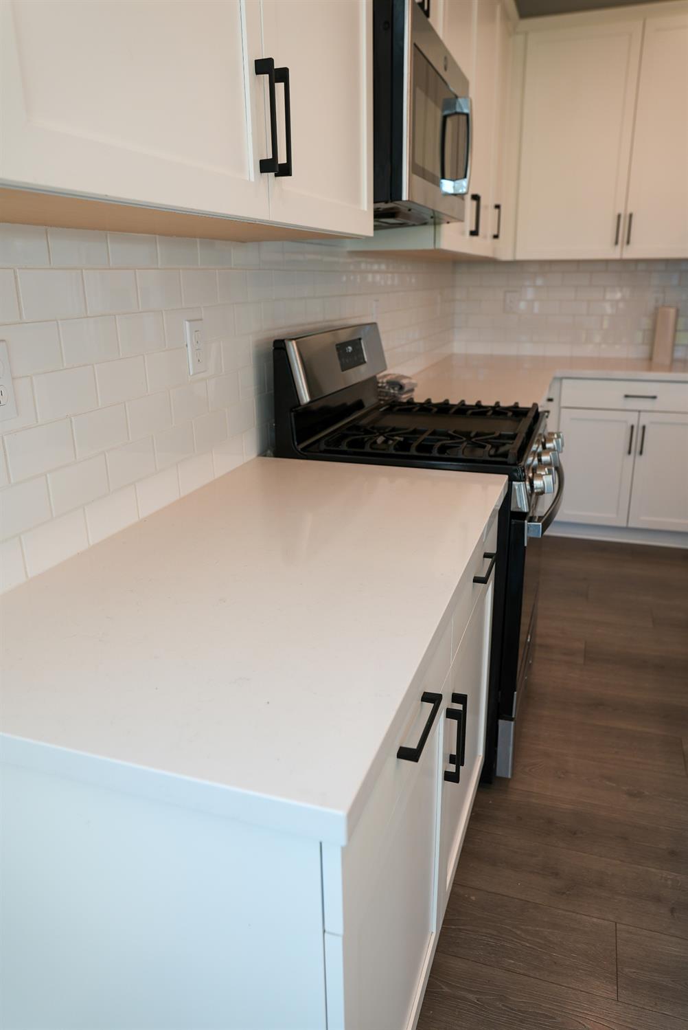 10100 Downy Birch Drive