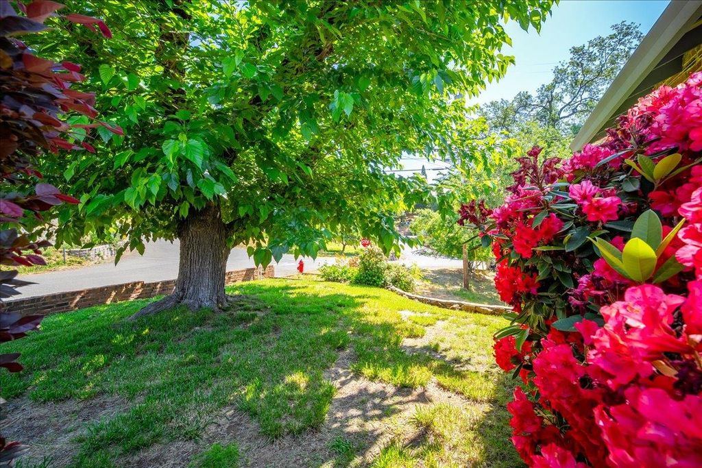 Photo of 155 Judy Drive, Placerville, CA 95667 (MLS # 225140223)