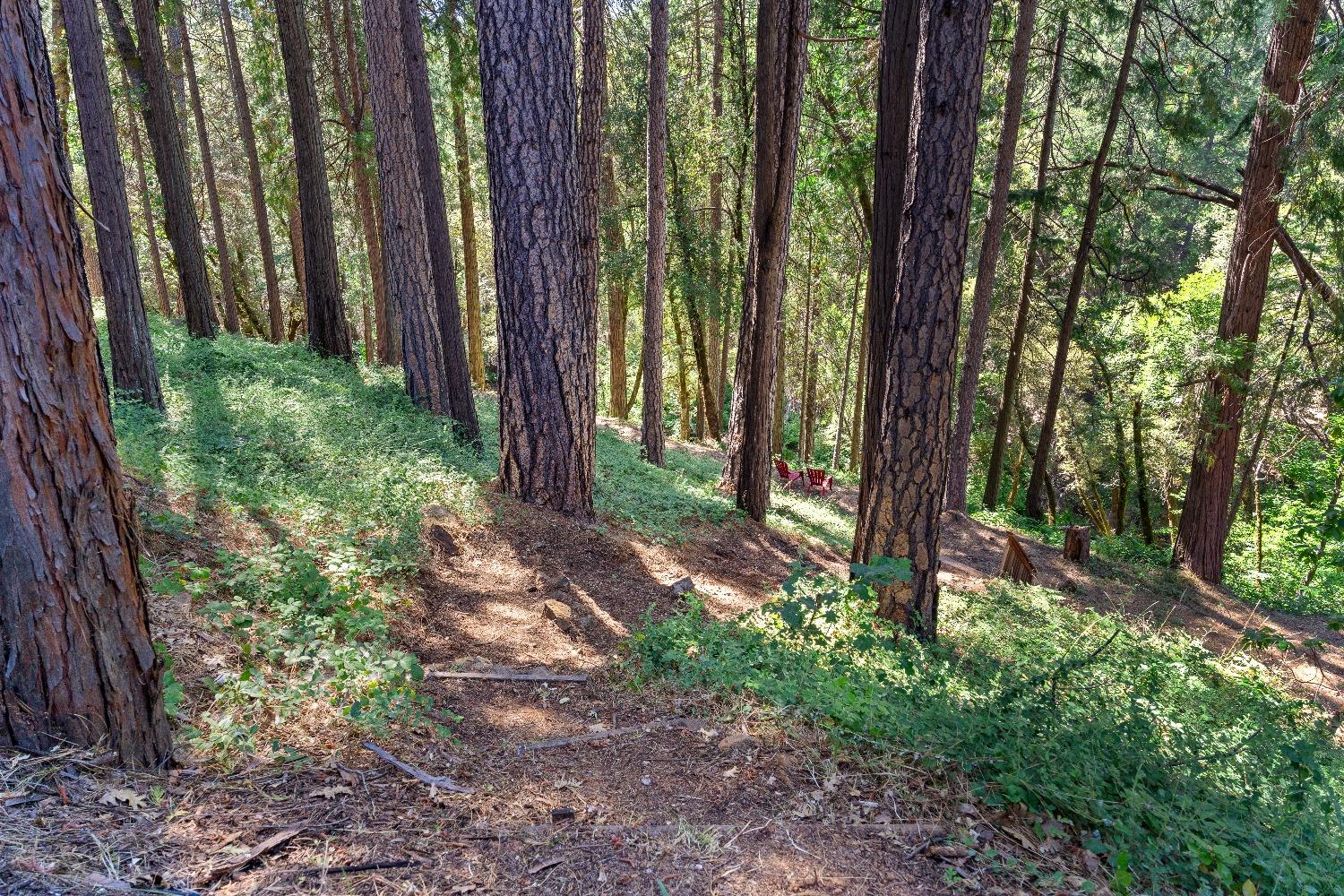 Grass Valley, California 95949, United States, 3 Bedrooms Bedrooms, ,2 BathroomsBathrooms,Residential,Pending,32199