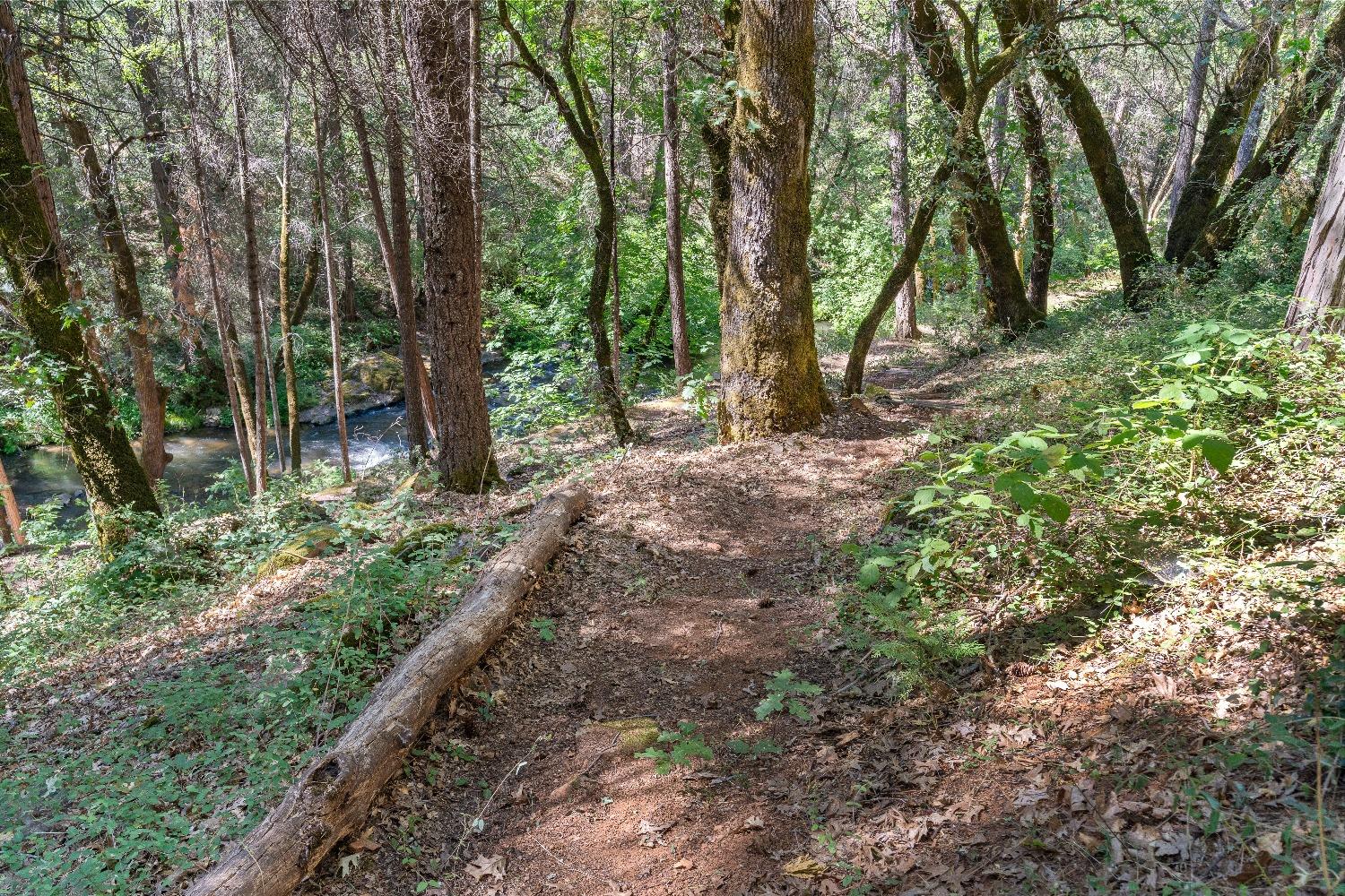 Grass Valley, California 95949, United States, 3 Bedrooms Bedrooms, ,2 BathroomsBathrooms,Residential,Pending,32199