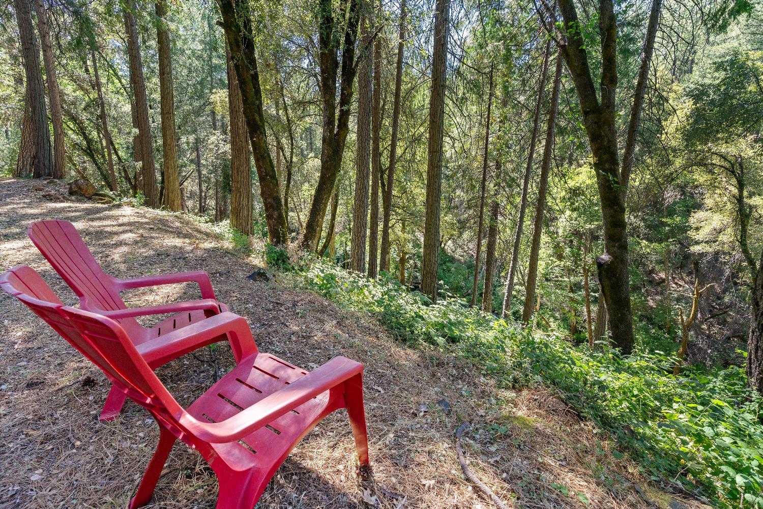 Grass Valley, California 95949, United States, 3 Bedrooms Bedrooms, ,2 BathroomsBathrooms,Residential,Pending,32199