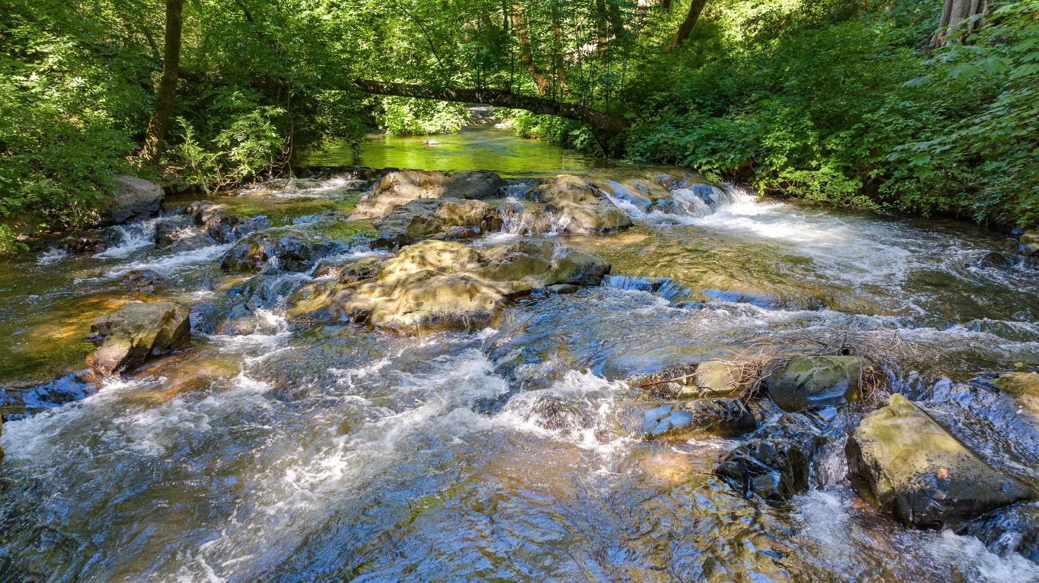 Grass Valley, California 95949, United States, 3 Bedrooms Bedrooms, ,2 BathroomsBathrooms,Residential,Pending,32199